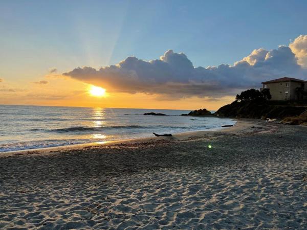Linguizzetta (20230) Appartement 3 Pièces avec Terrasse et Vue Mer Imprenable à Bravone