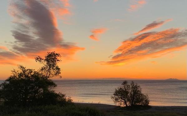 Linguizzetta (20230) Appartement 3 Pièces avec Terrasse et Vue Mer Imprenable à Bravone
