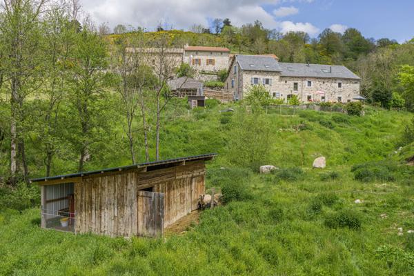 Le Malzieu-Ville (48140) Magnifique corps de ferme entièrement rénové, cadre exceptionnel, Lozère, secteur Margeride