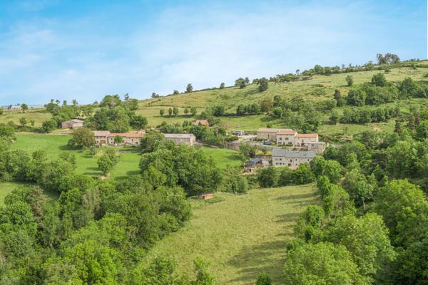 Le Malzieu-Ville (48140) Magnifique corps de ferme entièrement rénové, cadre exceptionnel, Lozère, secteur Margeride