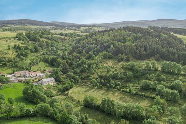 Le Malzieu-Ville (48140) Magnifique corps de ferme entièrement rénové, cadre exceptionnel, Lozère, secteur Margeride