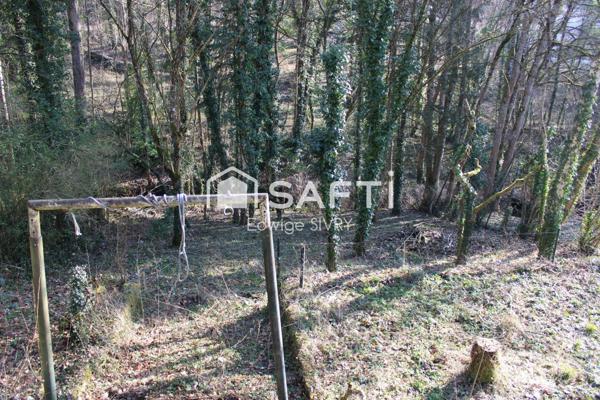 Maison avec jardin atypique