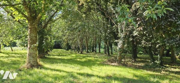 Longère divisée en 2 maisons