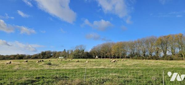 Longère divisée en 2 maisons