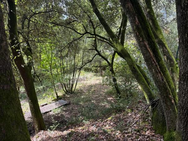 Terrain à bâtir à vendre 1032 m2 CENDRAS (30480)