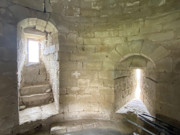 Vente Château Lautrec 17 Pièces 715 m²