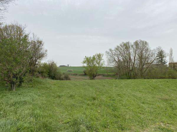Vente Château Lautrec 17 Pièces 715 m²