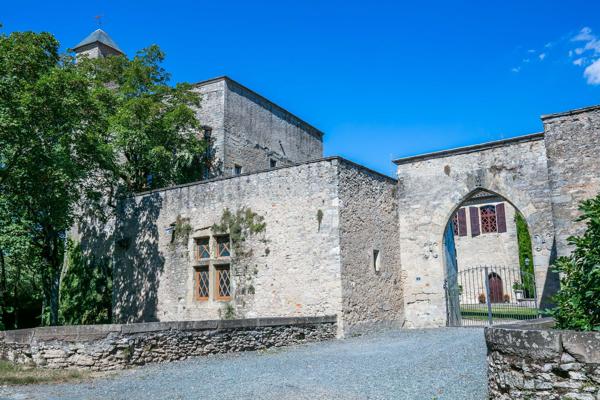 Vente Château Lautrec 17 Pièces 715 m²