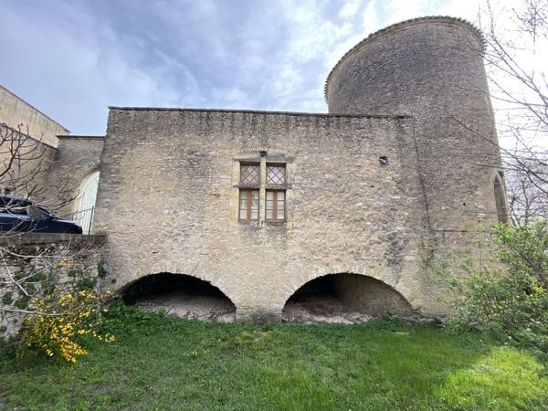 Vente Château Lautrec 17 Pièces 715 m²