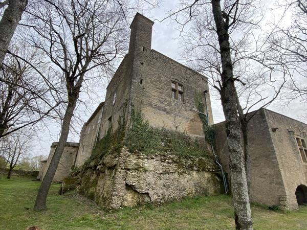 Vente Château Lautrec 17 Pièces 715 m²