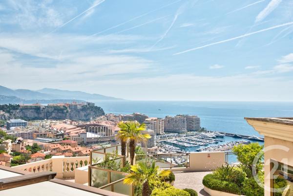 Appartement F2 à vendre  2 pièces - 46,49 m2 CAP D AIL - 06