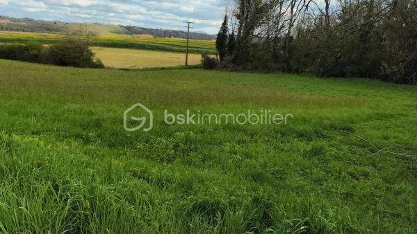 Terrain de 3 700 m²