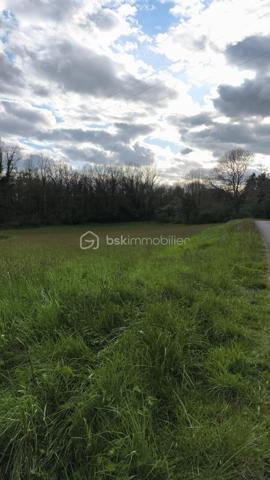 Terrain de 3 700 m²