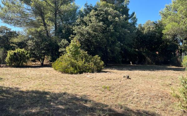 Terrain à vendre    Saint-Gély-du-Fesc