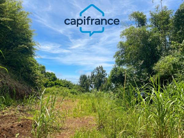 Terrain à vendre – 1800 m² – Saint-Denis (Le Brûlé)