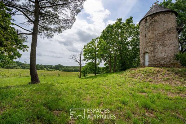 Belle parcelle avec panorama à 360° et ancien moulin à vent