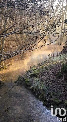 Domaine 10 pièces de 250 m² à Ferrières-en-Gâtinais (45210)