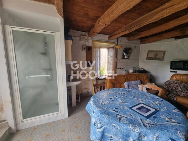 LARRE : ensemble de 2 maisons sur grand jardin en centre bourg