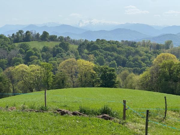 GRANGE REHABILITEE A LA CAMPAGNE AVEC DEPENDANCES