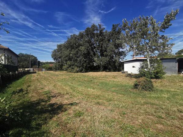 Vente / Terrain constructible
