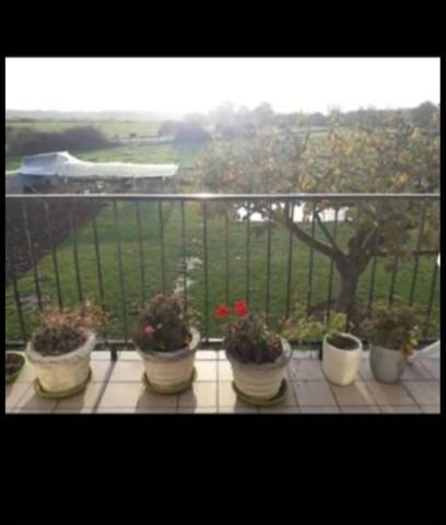 Maison à vendre 7 pièces LOUZE (52)