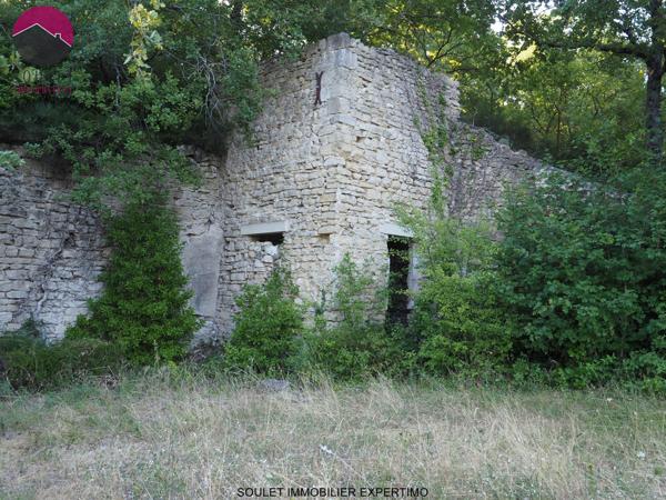 Pernes-les-Fontaines (84210) Ancienne demeure des Papes sur 2 ha