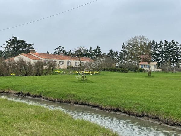 Longère marais Bouin 19 hectares