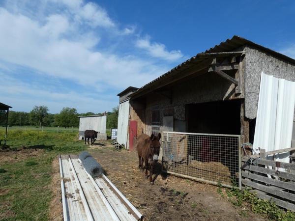Terrain à ALENÇON, 61000 - 27457m²