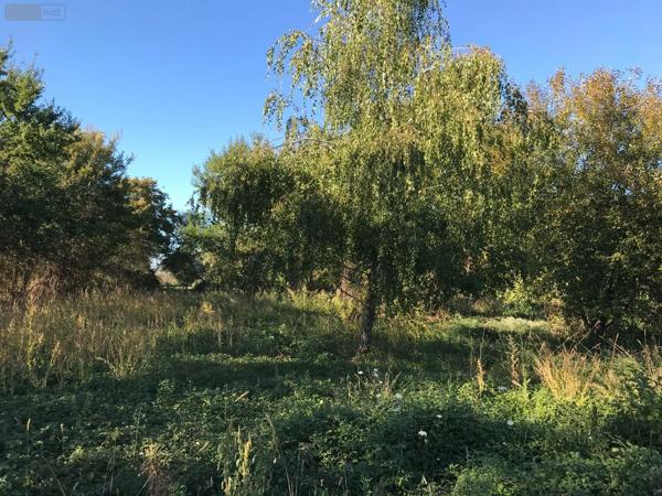 Achat - Terrain à bâtir | Terrain à bâtir Beaufay 72110 6027 m 2