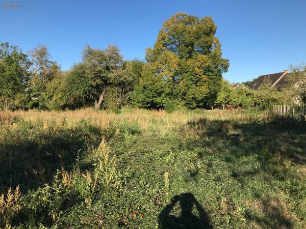 Achat - Terrain à bâtir | Terrain à bâtir Beaufay 72110 6027 m 2