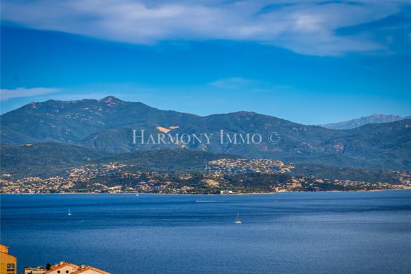 Très bel appartement avec vue mer exceptionnelle.