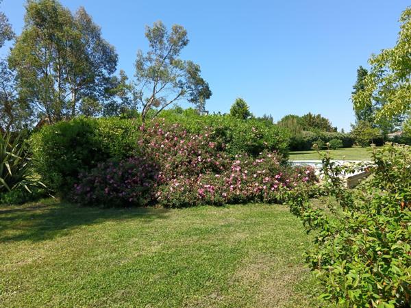 Charmante maison paisible de 7 pièces 220m2 avec par arboré