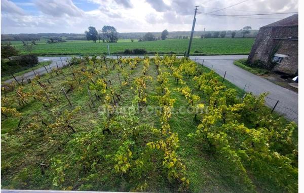 Maison rénovée avec 3 chambres, 1 200 m² de terrain et vue dégagée – Au calme !