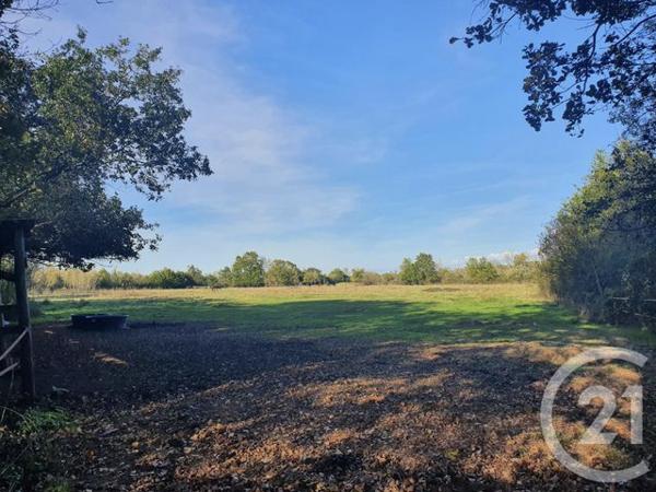 Terrain à vendre  104684 m2 LESPARRE MEDOC - 33