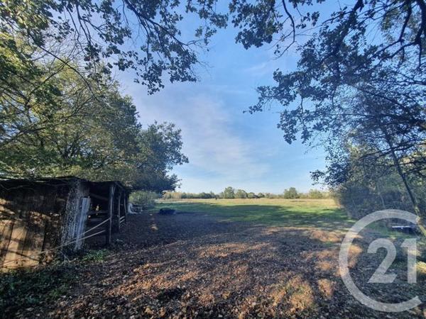 Terrain à vendre  104684 m2 LESPARRE MEDOC - 33