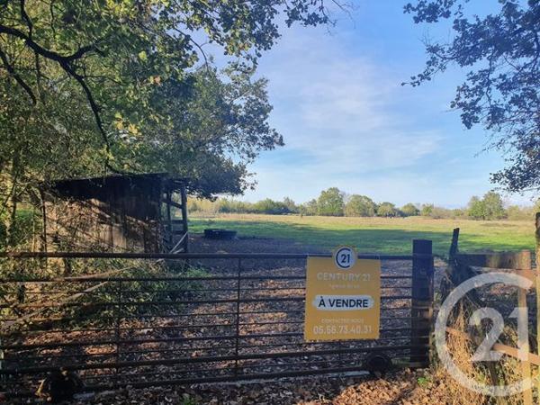 Terrain à vendre  104684 m2 LESPARRE MEDOC - 33