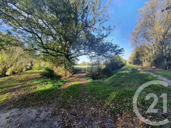 Terrain à vendre  104684 m2 LESPARRE MEDOC - 33