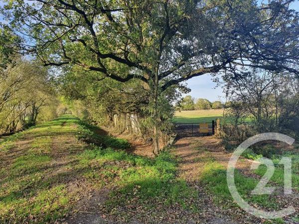 Terrain à vendre  104684 m2 LESPARRE MEDOC - 33