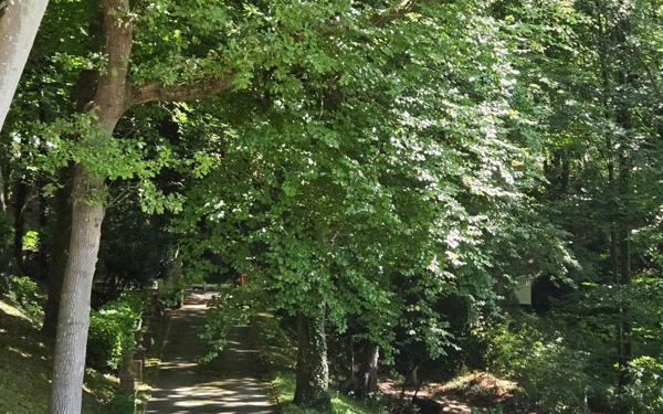 Maison à vendre    5 pièces • 168 m2 Ault