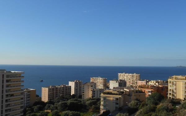 Appartement à louer    1 pièce •  Ajaccio