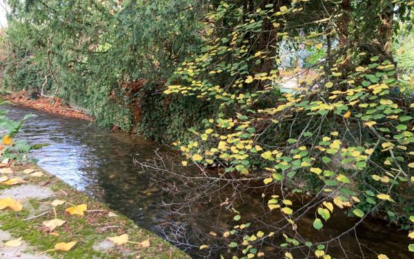 Maison à vendre    5 pièces •  Mézidon-Canon