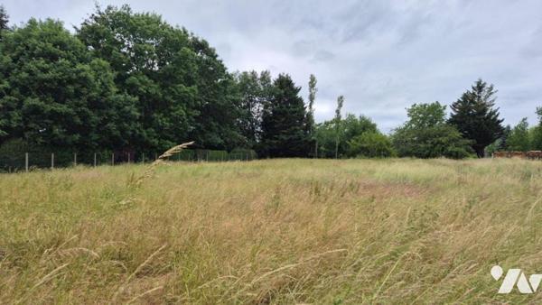 MONTIGNY-SUR-LOING