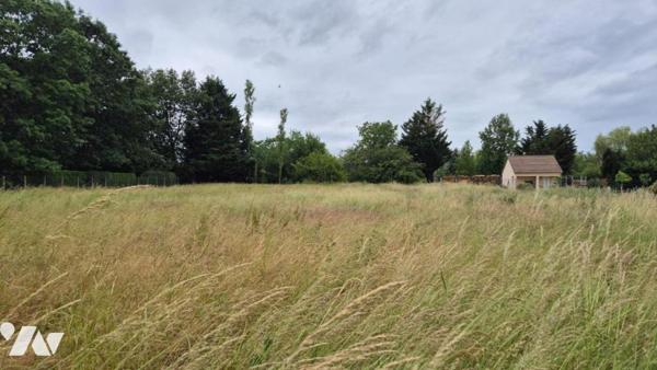 MONTIGNY-SUR-LOING