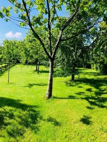 Maison en Bois à vendre 9 pièces LE TREHOU (29)