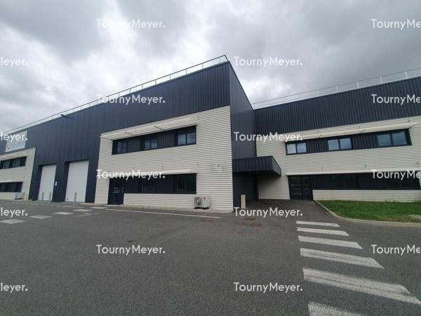Local d'activites 3498m² À louer - AMBARÈS-ET-LAGRAVE