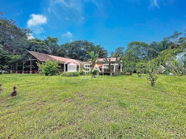 Propriété d’exception sur 2 hectares au Dégrad Saramaca