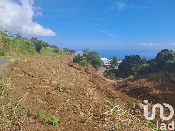 Terrain à vendre 1 217 m² Saint-Paul