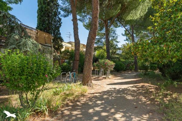 Appartement à vendre 265 000 € Montpellier 2 p 56 m² DPE C