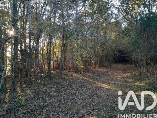 Terrain à vendre 3 132 m² Biscarrosse