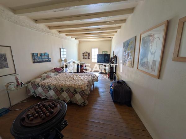 Deux immeubles historiques au fort potentiel